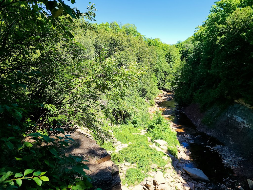 Indian Falls Conservation Area | 318614 Grey Rd 1, Owen Sound, ON N4K 5N4, Canada | Phone: (519) 376-3076