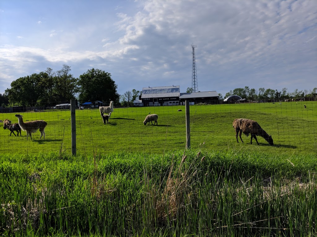 Big Curve Acres Farm | 65 11 Line N, Hawkestone, ON L0L 1T0, Canada | Phone: (705) 487-2000