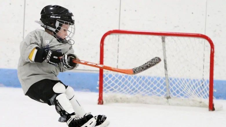 Vaughan Golden Knights Youth Hockey Association | 541 Thornhill Woods Dr, Thornhill, ON L4J 8Z9, Canada | Phone: (365) 597-0717