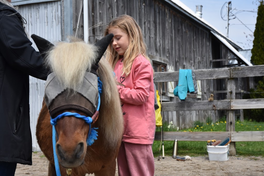 Punkin Patch Farm | 338 Chemin du Petit-Brûlé, Rigaud, QC J0P 1P0, Canada | Phone: (450) 451-1158