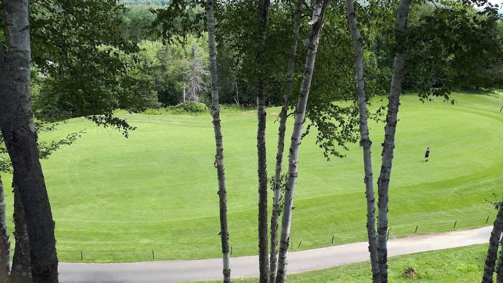 La Bete Golf | 1760 Chemin du Golf, Mont-Tremblant, QC J8E 2K6, Canada | Phone: (819) 425-9888