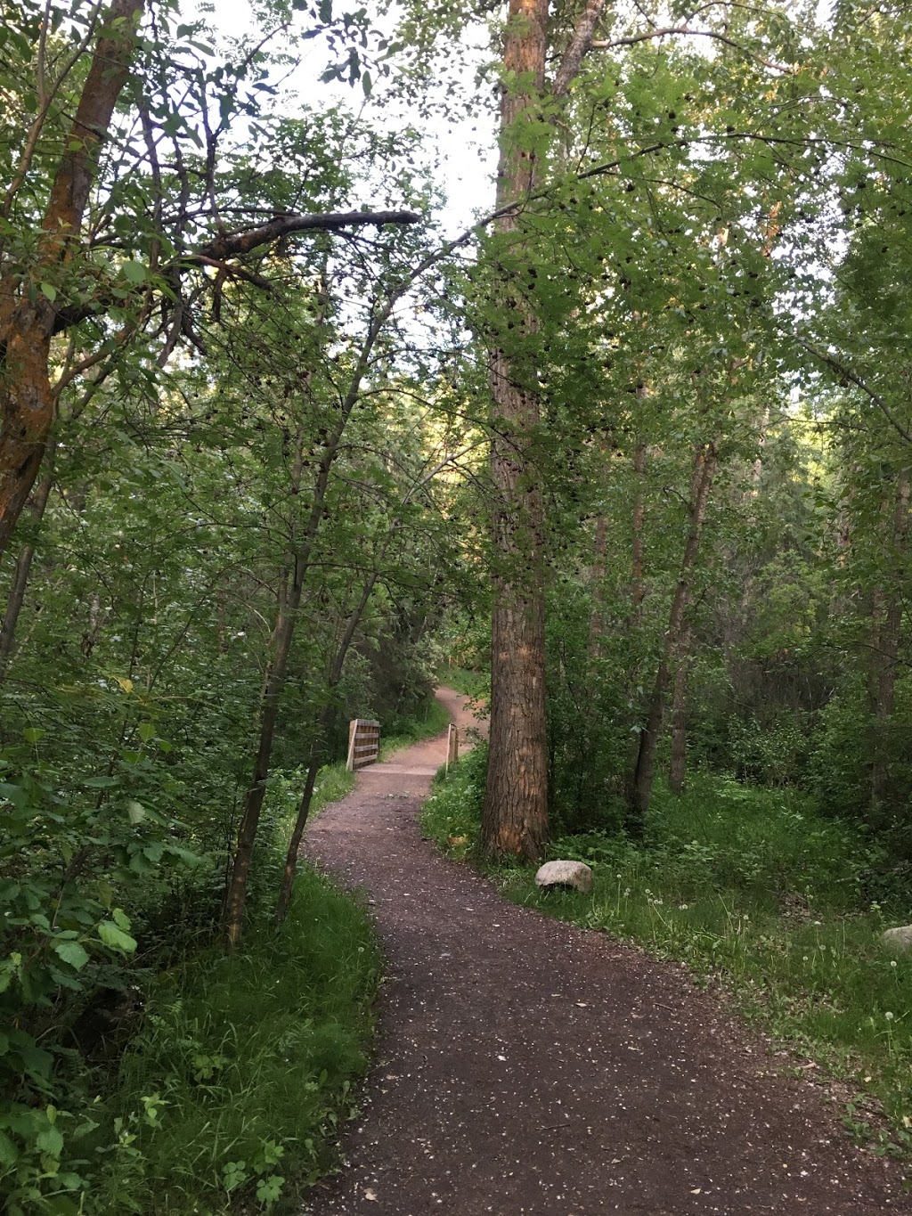 Whitemud Creek Stairs #250 | Unnamed Road, Edmonton, AB T6J 2C8, Canada