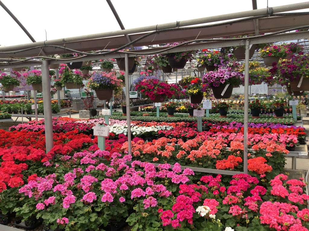 SS Greenhouses | 5663 Waterworks Rd, Sarnia, ON N7T 7H2, Canada | Phone: (519) 542-7679