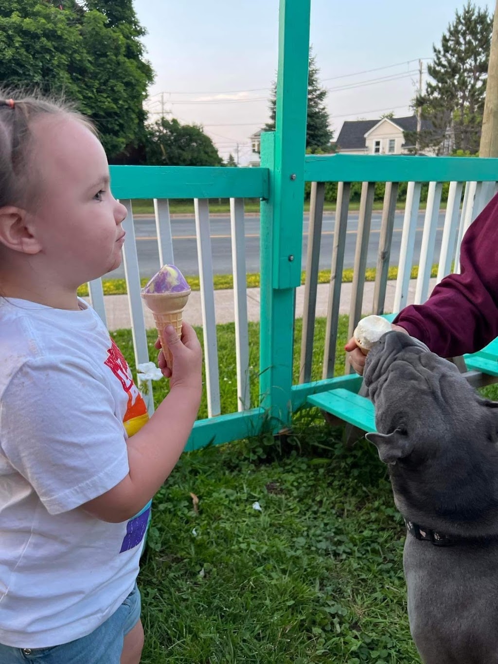 Frostys TLC Scoops Ice Cream | 96 King St, Moncton, NB E1C 4M6, Canada | Phone: (506) 866-5522