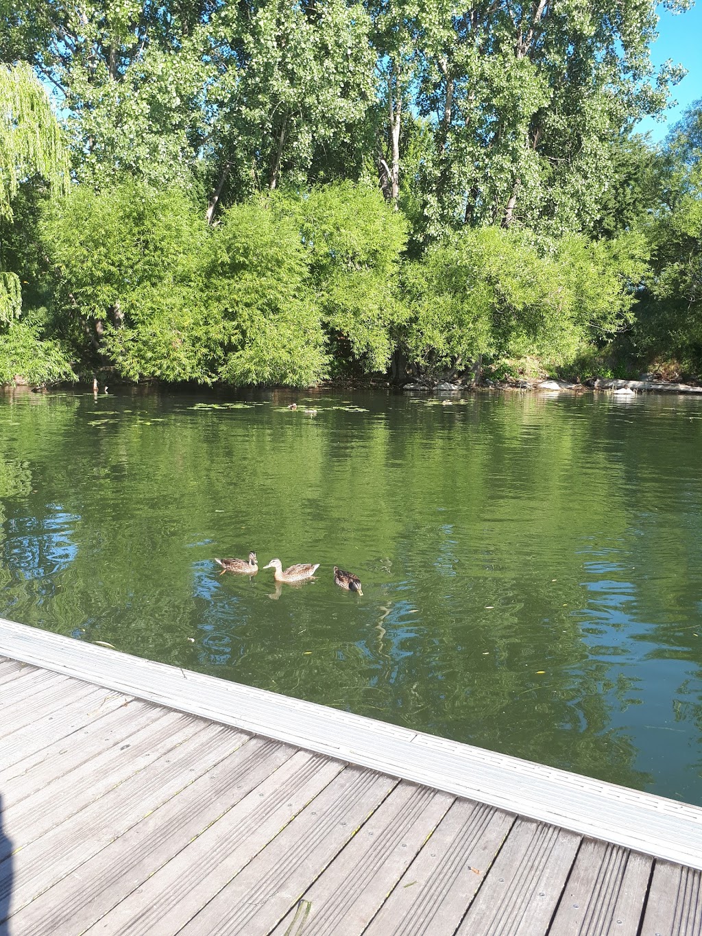 Marin Park | Chemin du Club Marin, Verdun, QC H3E 1P5, Canada