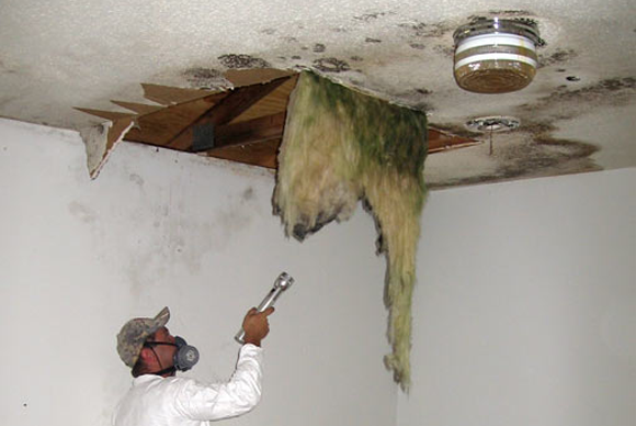 Absolute Mould Remediation Ltd. - Attic Specialists | 30 Banfield St, Paris, ON N3L 2Y6, Canada | Phone: (800) 578-1291