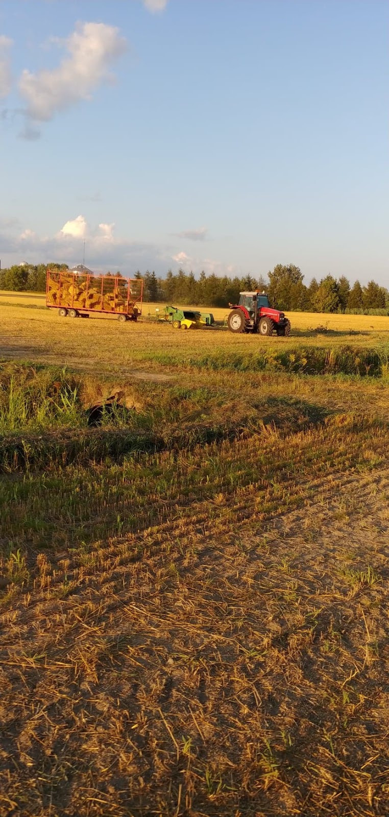 La Ferme Joalin | 130 Rang de la Côte Double, Sainte-Angèle-de-Monnoir, QC J0L 1P0, Canada | Phone: (450) 776-4919