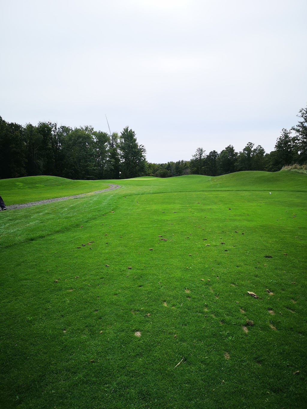 Cayuga Golf Club | 201 Decewsville Rd, Cayuga, ON N0A 1E0, Canada | Phone: (905) 772-7888