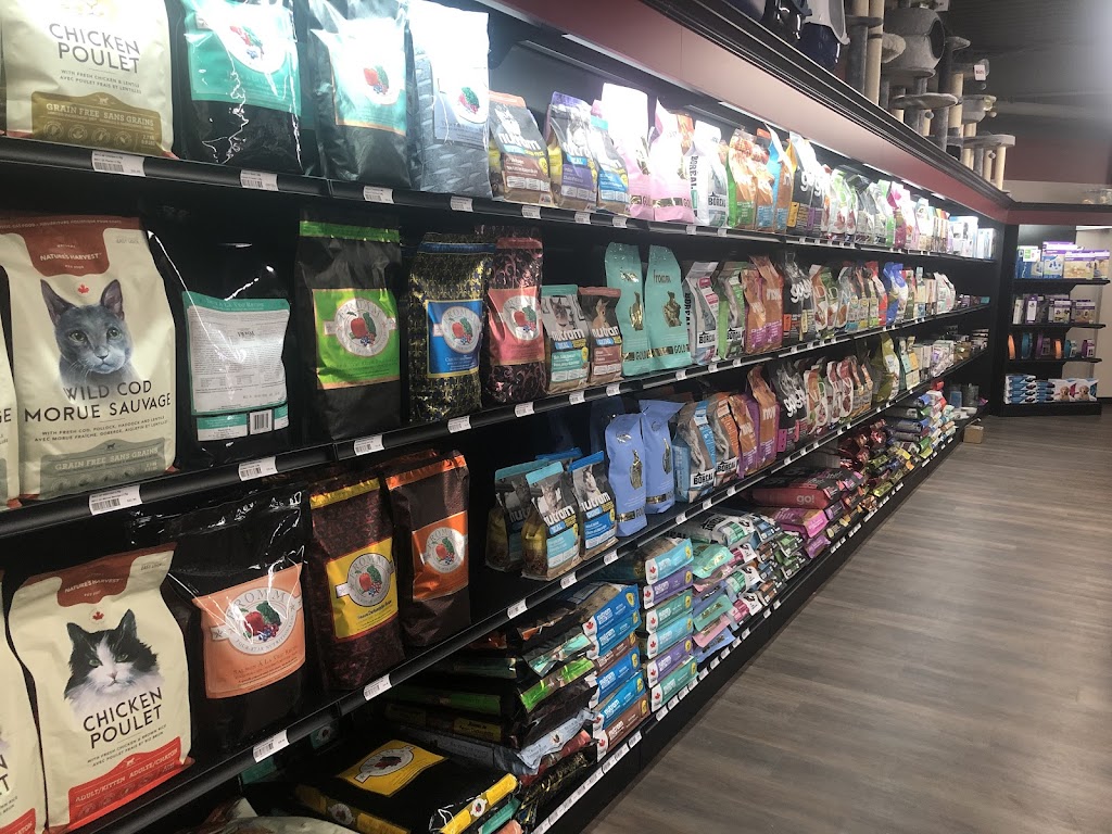 Pitou Minou et Compagnons | 3645 Chem. Gascon, Mascouche, QC J7L 3X6, Canada | Phone: (450) 477-4114