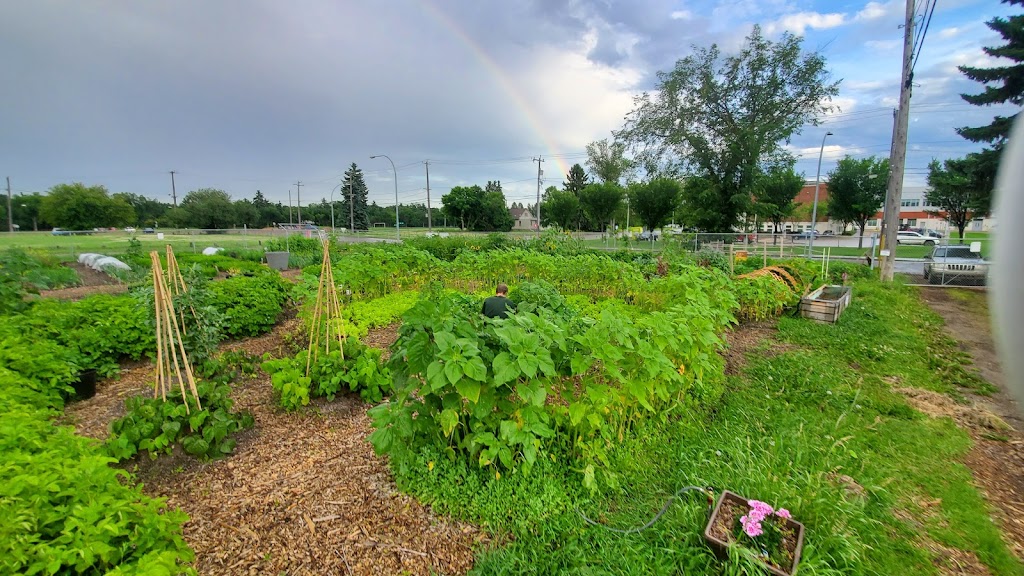 Edmonton Urban Farm | 11312 79 St NW, Edmonton, AB T5B 2K2, Canada | Phone: (780) 983-4010