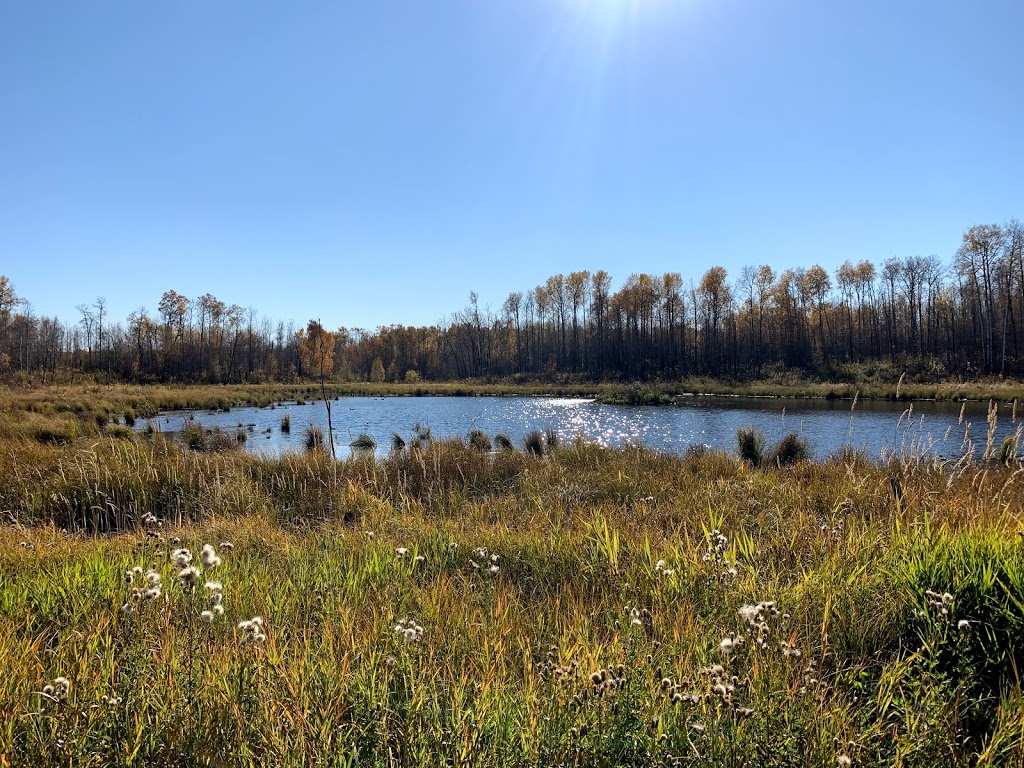 Ministik Lake Game Bird Sanctuary | Unnamed Road, Hay Lakes, AB T0B 1W0, Canada | Phone: (780) 464-7955