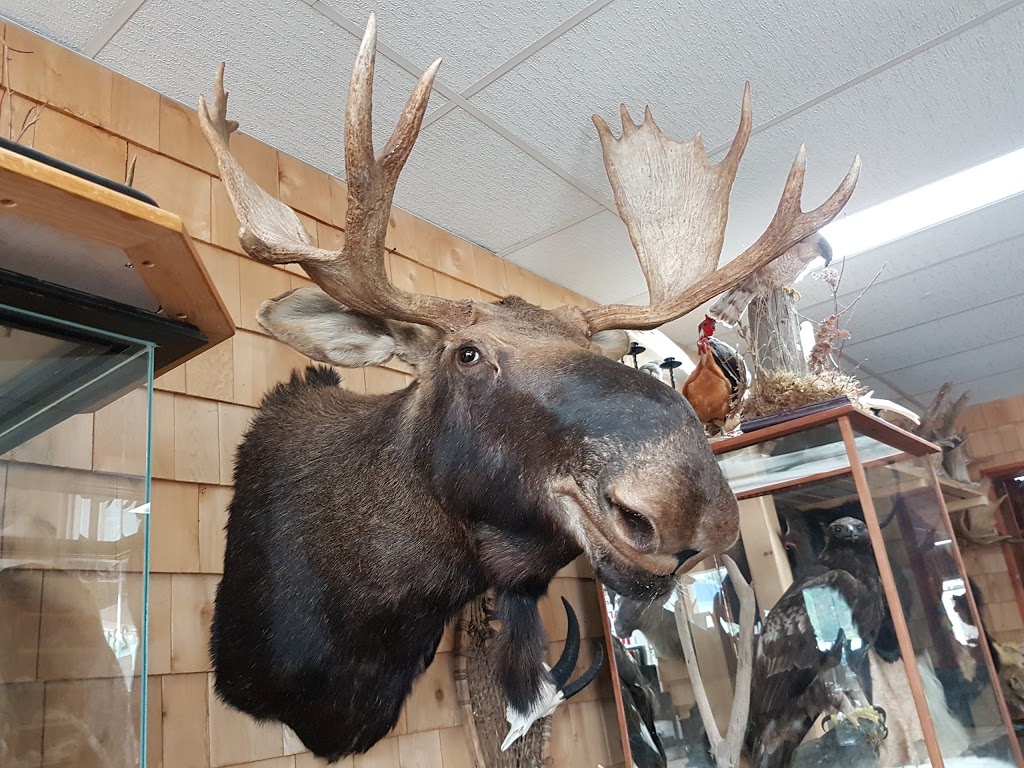 Taxidermie Chez Eric | 279 Rue Principale, Vallée-Jonction, QC G0S 3J0, Canada | Phone: (418) 253-6495