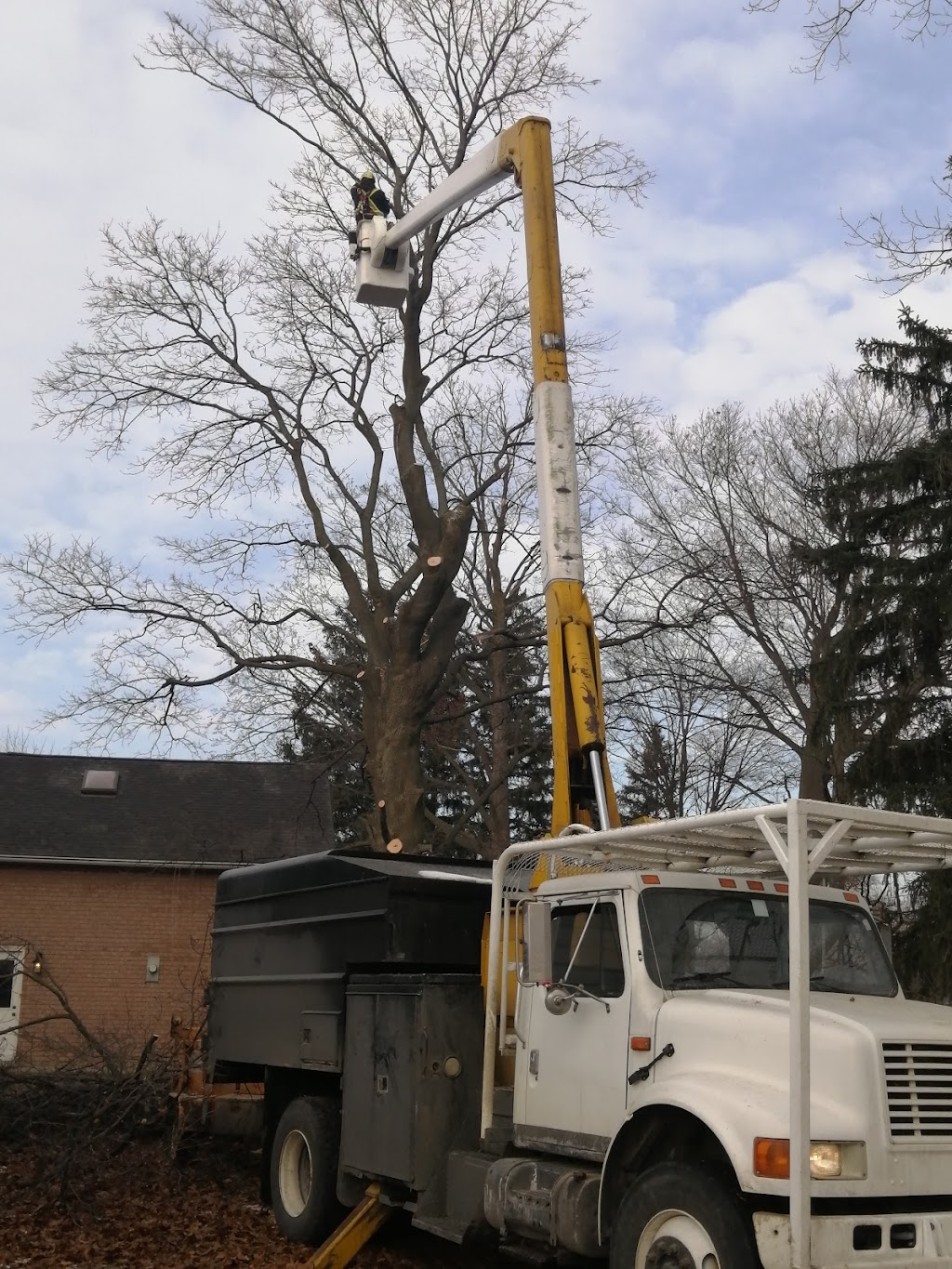 All Corners Tree and Lawn Care | 265 Barton St, Stoney Creek, ON L8E 2K4, Canada | Phone: (866) 309-7622