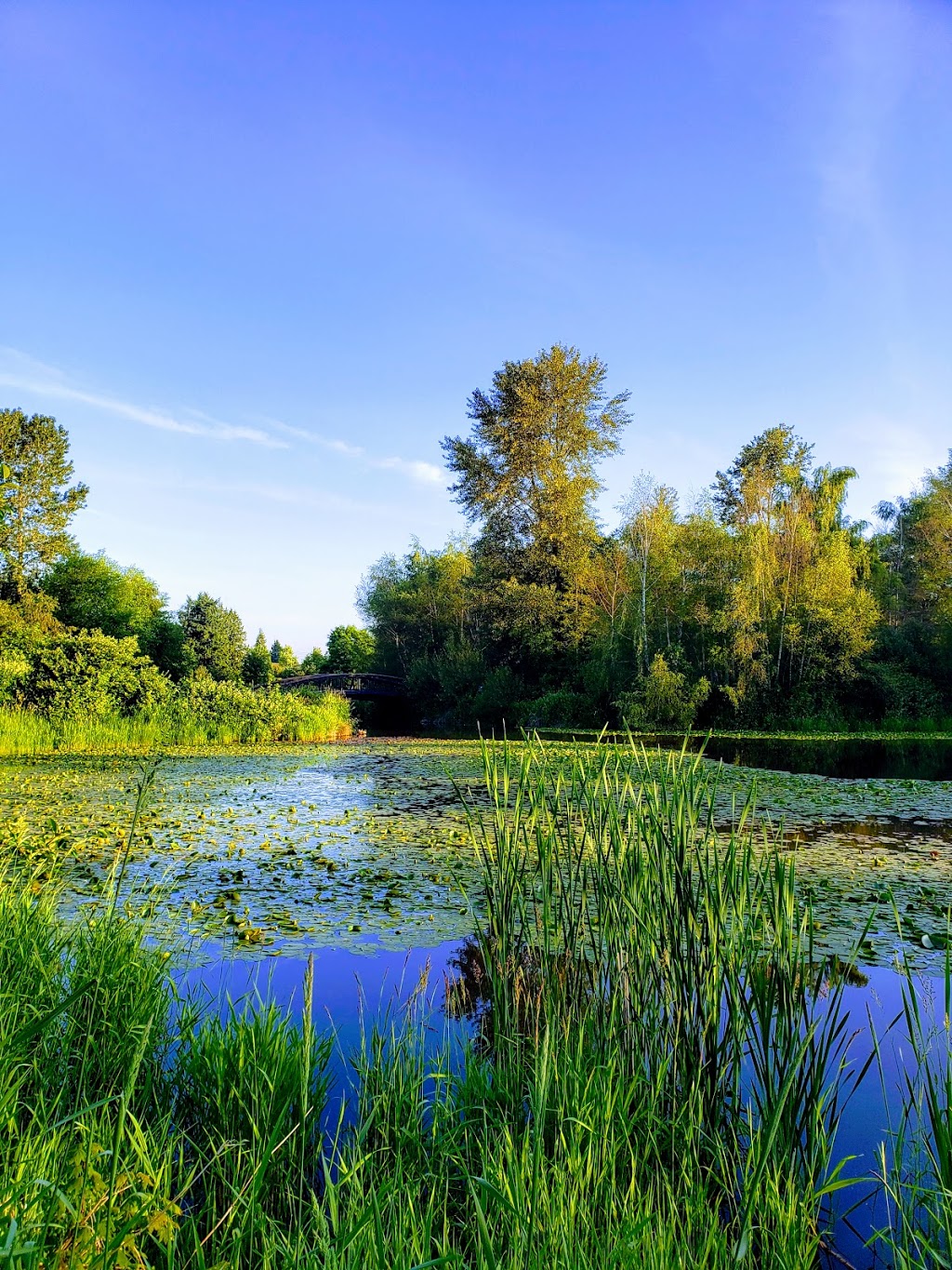 Garden City Community Park and Arboretum | 6620 Garden City Rd, Richmond, BC V6Y 1T6, Canada | Phone: (604) 276-4000