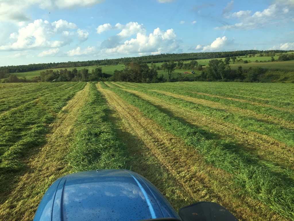 Ferme Gagné et Frères SENC | 132 Chem. du 5 Rang, Saint-Malo, QC J0B 2Y0, Canada | Phone: (819) 570-7425