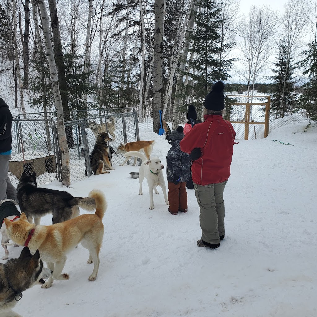 La ferme à minuit | 603 Rang 7e, Sainte-Monique, QC G0W 2T0, Canada | Phone: (418) 347-3152