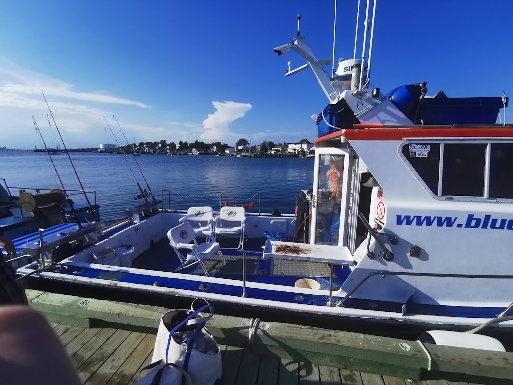 Blue Shark Charters | 99 Government Wharf Rd, Eastern Passage, NS B3G 1M7, Canada | Phone: (902) 830-4115