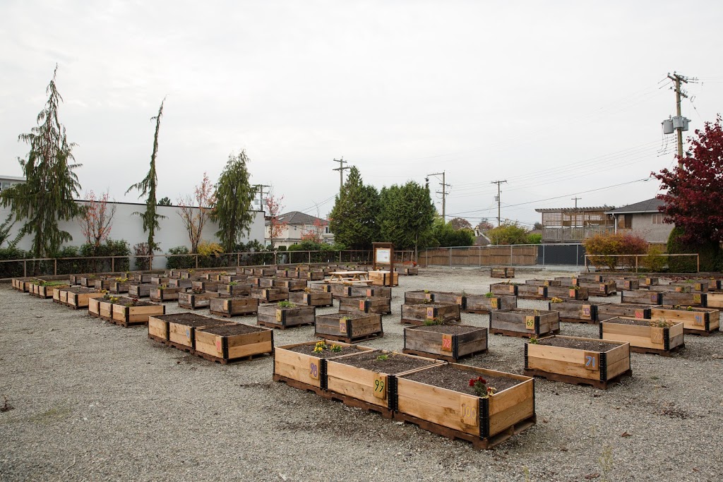 Cambie & 59th Temporary Community Garden | 7525 Cambie St, Vancouver, BC V6P 3H6, Canada | Phone: (778) 381-8337