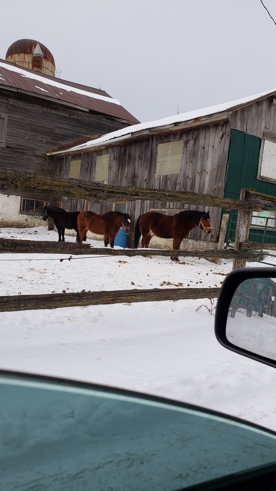 Caledon Equestrian School | 13441 Airport Rd, Caledon East, ON L7C 2X5, Canada | Phone: (905) 584-2022