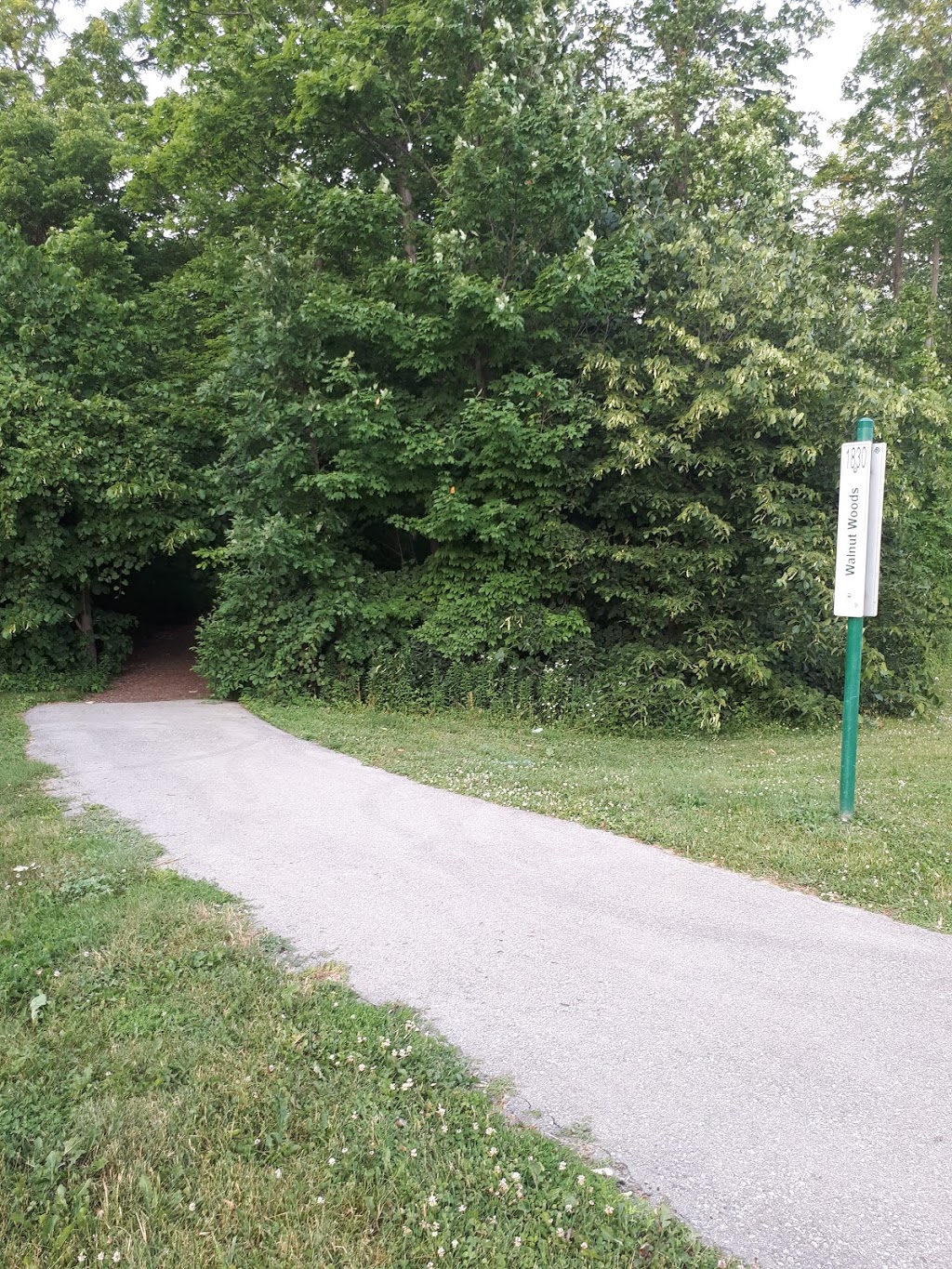 Walnut Woods Trail | 1830 Kyle Ct, London, ON N6G 0A6, Canada