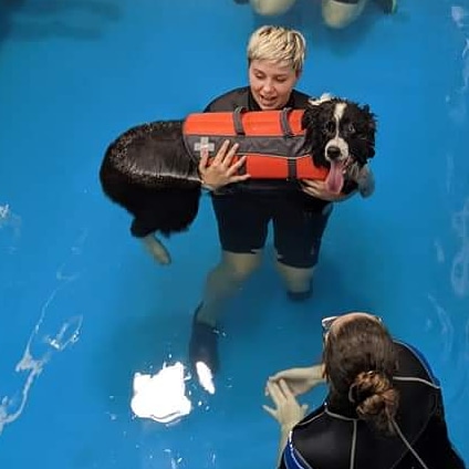Canine Aquatherapy with Faith | 2836 Holt Rd, Bowmanville, ON L1C 3K4, Canada | Phone: (905) 391-9717