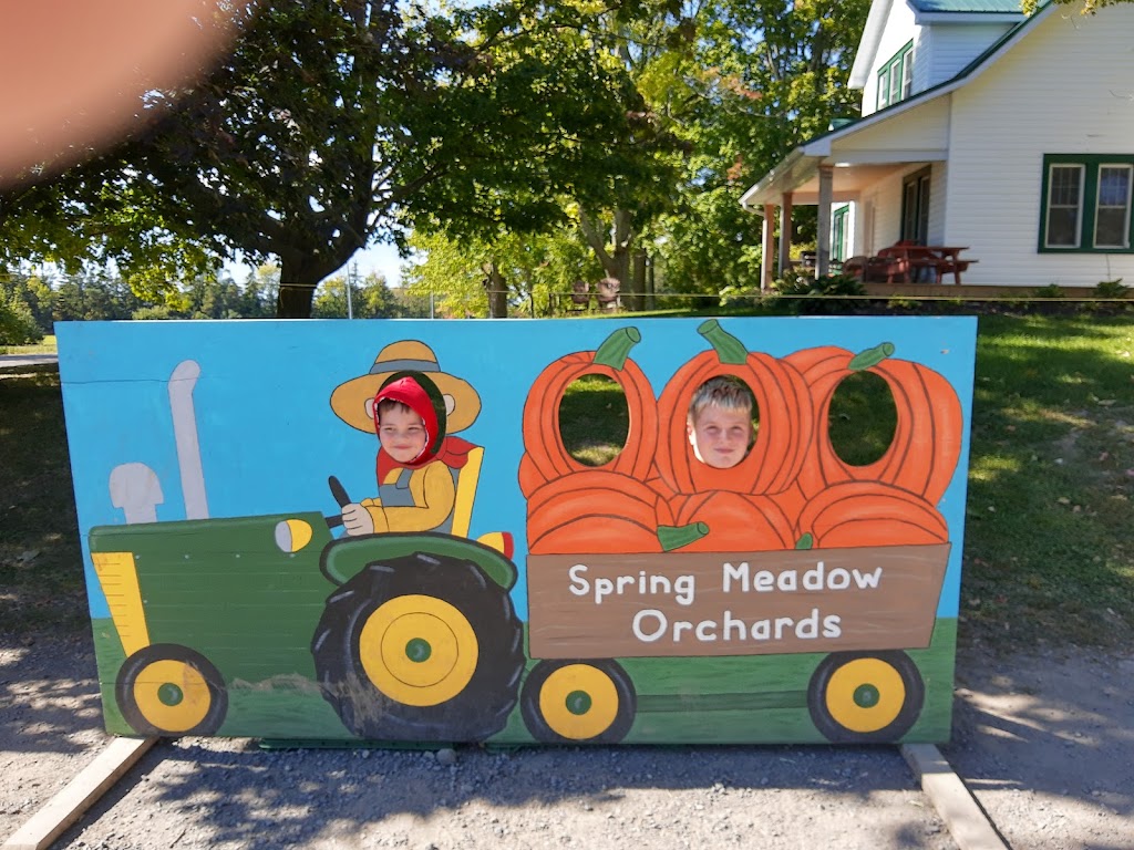 Spring Meadow Orchards | 10143 Loyalist Pkwy, Greater Napanee, ON K7R 3K7, Canada | Phone: (613) 373-9313