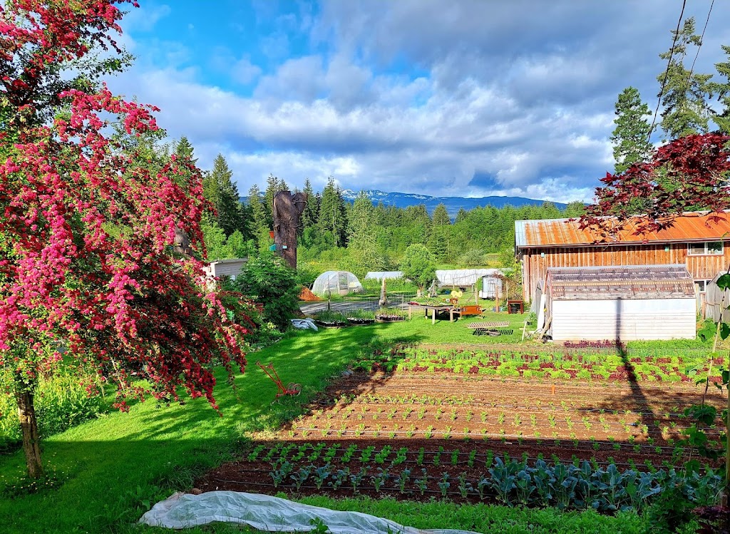 Clever Crow Farm | 7911 N Island Hwy, Black Creek, BC V9J 1G8, Canada | Phone: (250) 465-0448