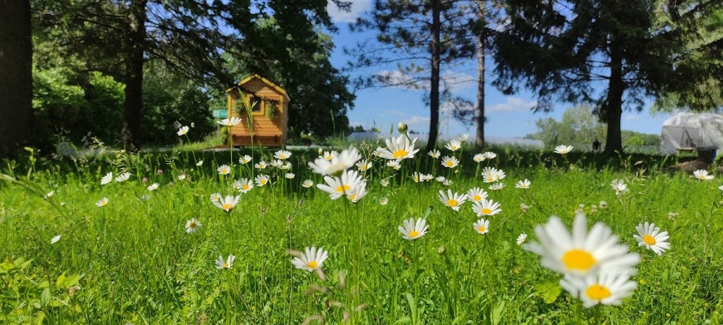 Les jardins de Ré-Gaia|Ferme maraîchère|Kiosque libre-service à la ferme | 26 Chem. de la 3 Concession, Noyan, QC J0J 1B0, Canada | Phone: (438) 526-7915