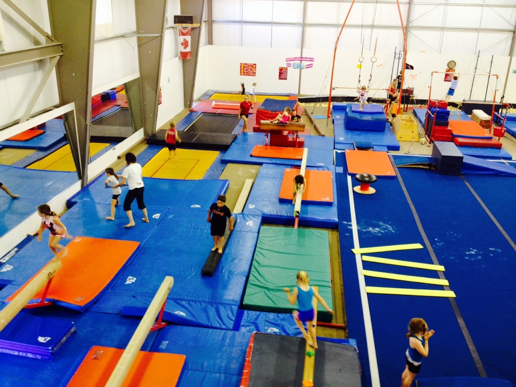 Lions Pride Gymnastics | 1060 Henry Eng Pl, Victoria, BC V9B 6B2, Canada | Phone: (250) 383-3547