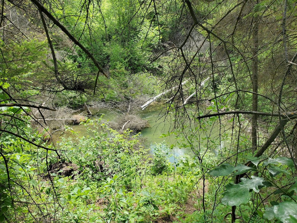 Steels Ferry Overlook and Spring Ridge Self-guiding Trail | South Cypress, MB R0K 0P0, Canada | Phone: (204) 827-8850