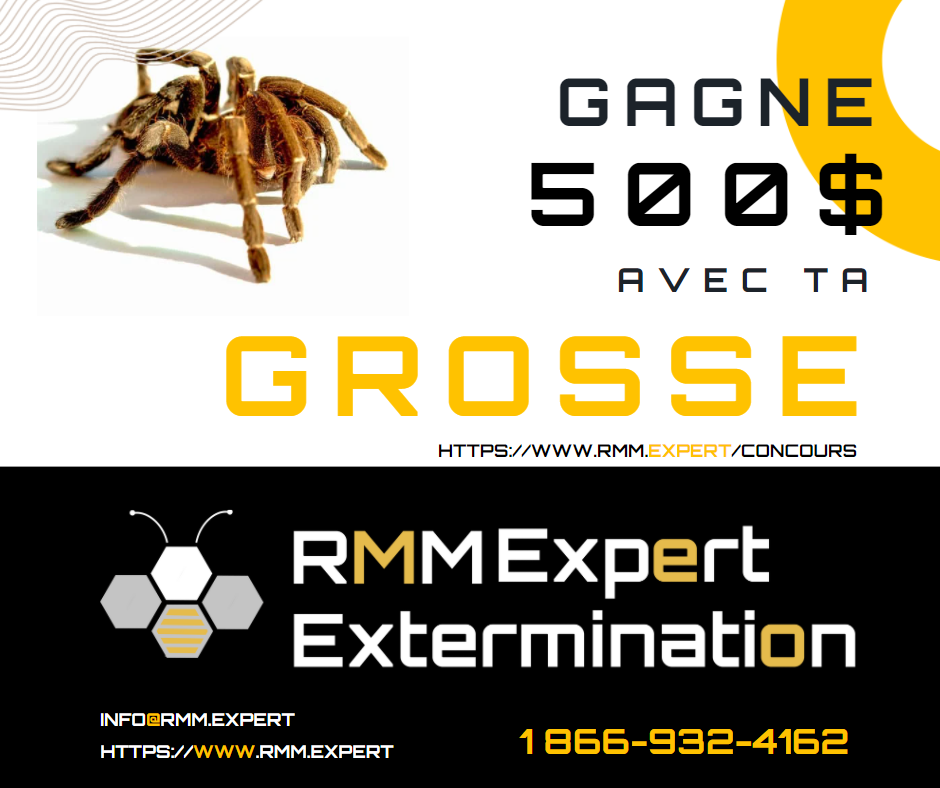 RMM Expert Extermination | 16 Rue du Boisé Normand, Sainte-Anne-des-Plaines, QC J0N 1H0, Canada | Phone: (866) 932-4162