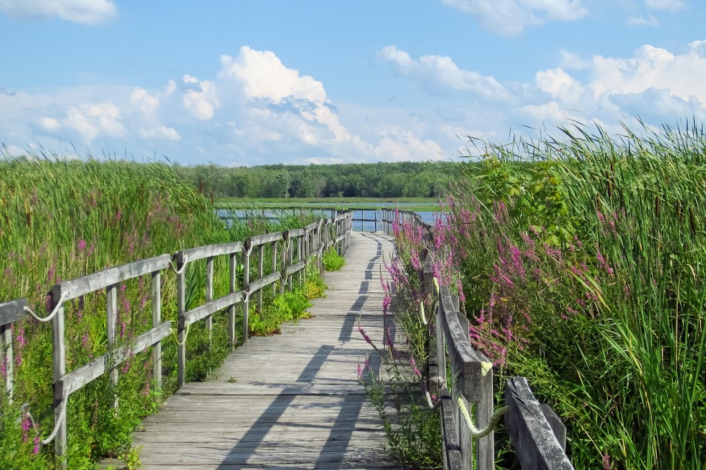 Sentier écologique de la Grande Baie | Unnamed Road, Oka, QC J0N 1E0, Canada