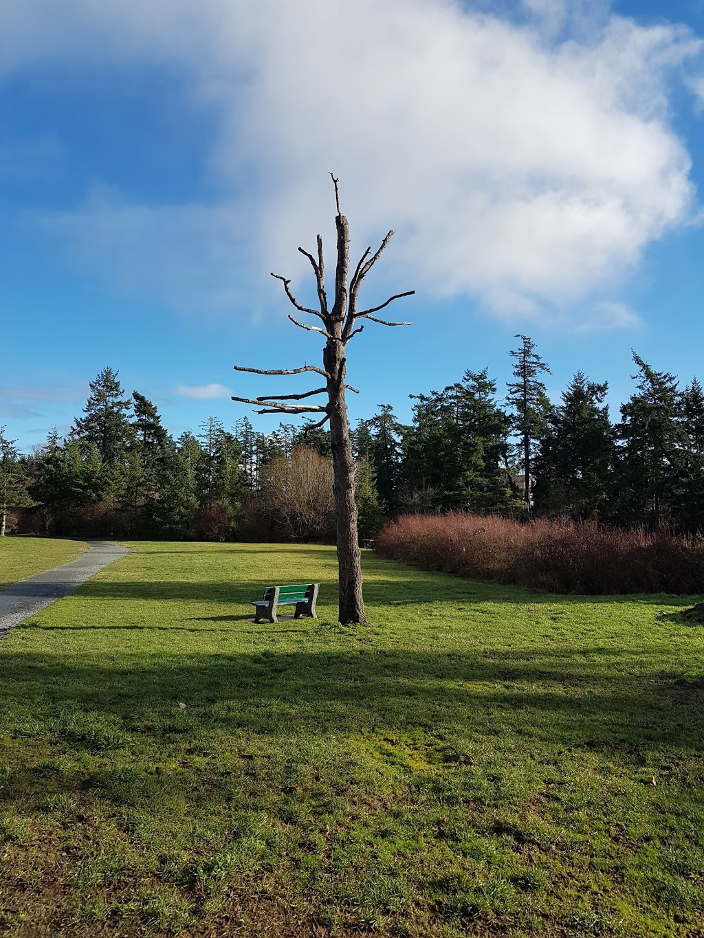 View Royal Park | 60 Pheasant Ln, Victoria, BC V9B 5J7, Canada | Phone: (250) 479-6800
