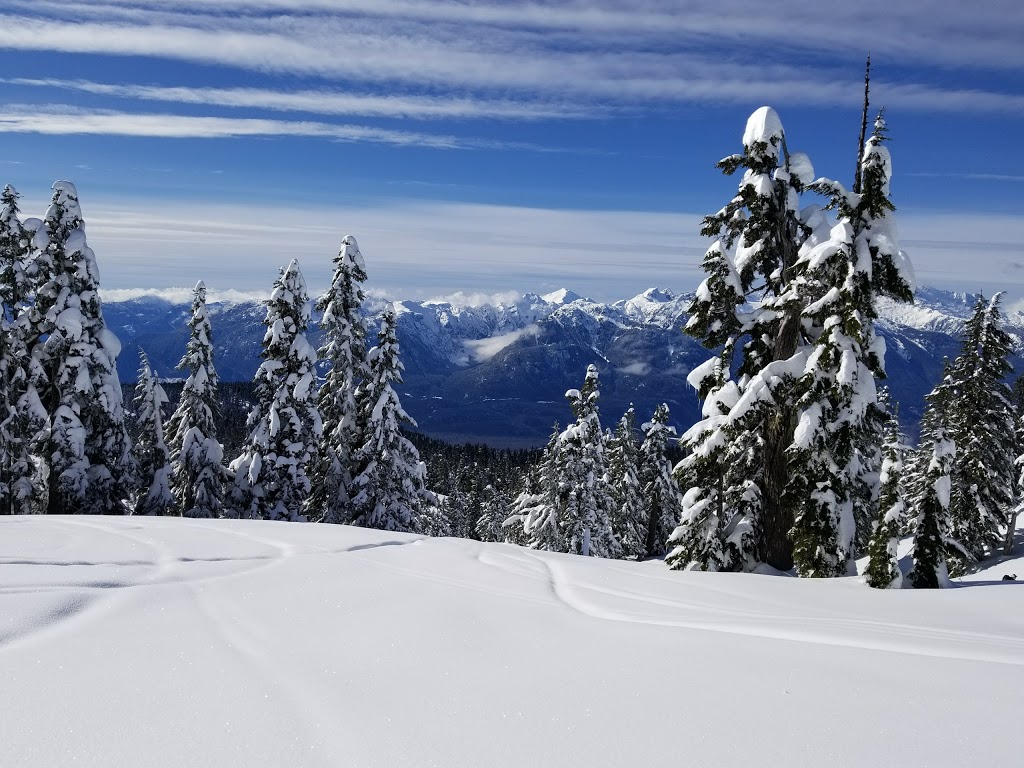 Elfin Lake Trailhead | Diamond Head Trail, Whistler, BC V0N 0A0, Canada | Phone: (800) 689-9025