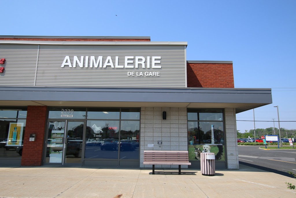 Animalerie de la Gare (Salon DAmour) | 2230 Boulevard du Millénaire, Saint-Basile-le-Grand, QC J3N 1T8, Canada | Phone: (450) 441-5298