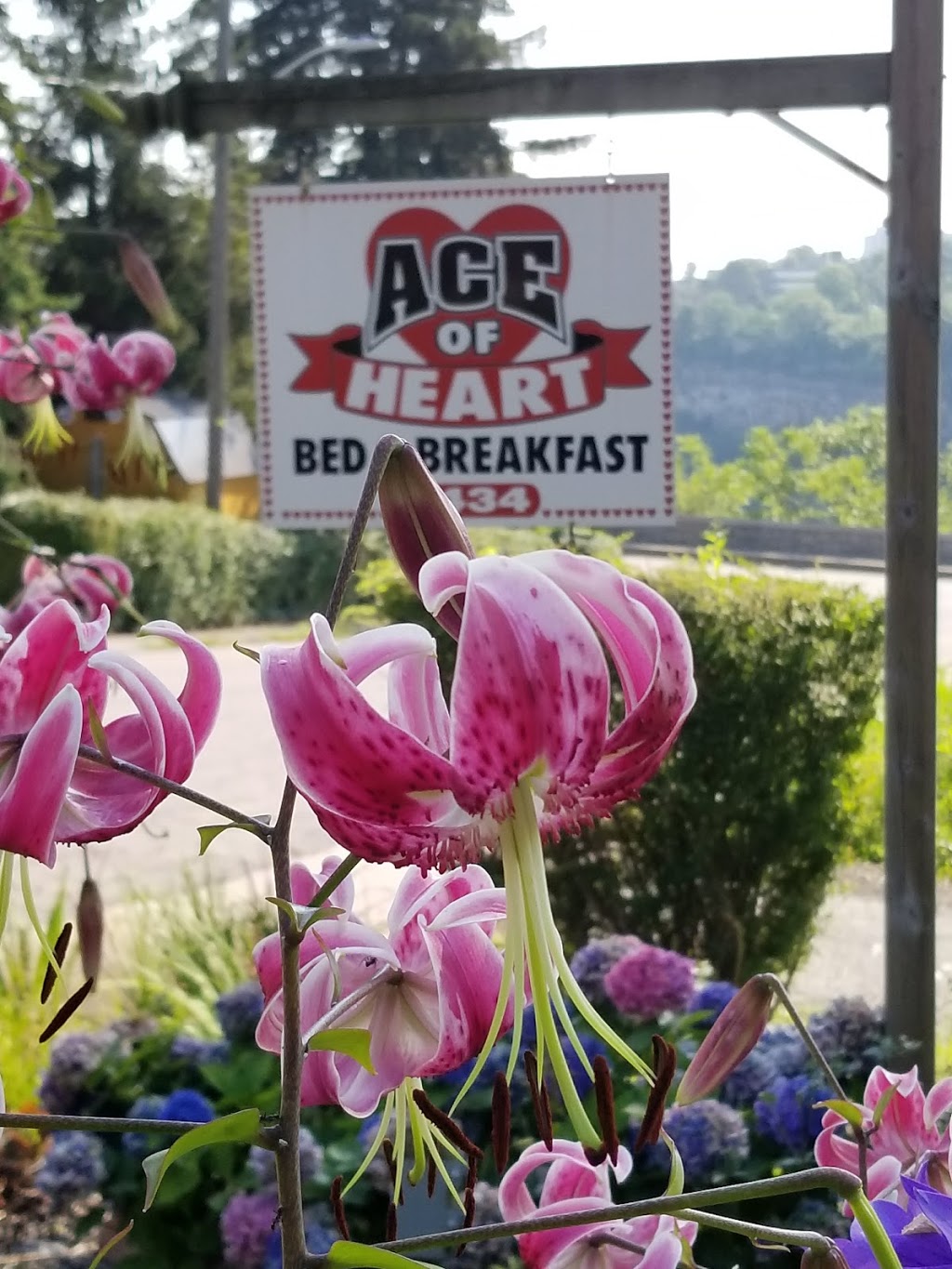 Ace of Hearts Bed & Breakfast | 4434 Philip St, Niagara Falls, ON L2E 1A6, Canada | Phone: (905) 374-8707