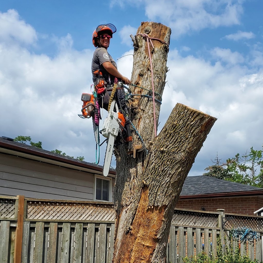 Green Canopy Tree Services | 19 Silvershadow Terrace, Brampton, ON L6R 0E6, Canada | Phone: (416) 302-2803