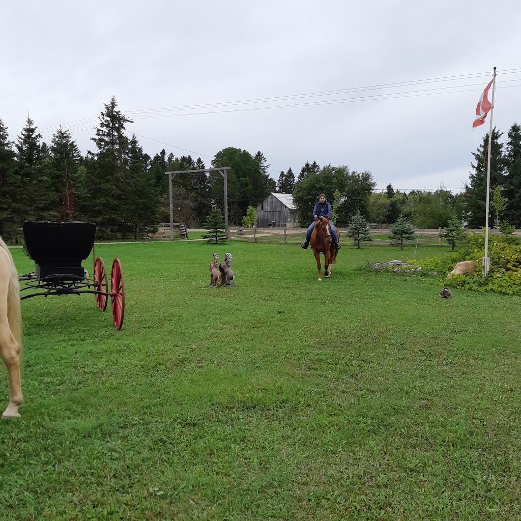 Ranchers 2 Elopement | 504224 ON-89, Amaranth, ON L9V 1P4, Canada | Phone: (519) 925-1314