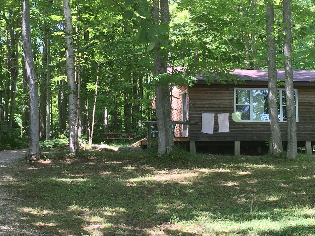 Miller Lake Camp Inc. | 130 Barneys Blvd, Miller Lake, ON N0H 1Z0, Canada | Phone: (519) 795-7851