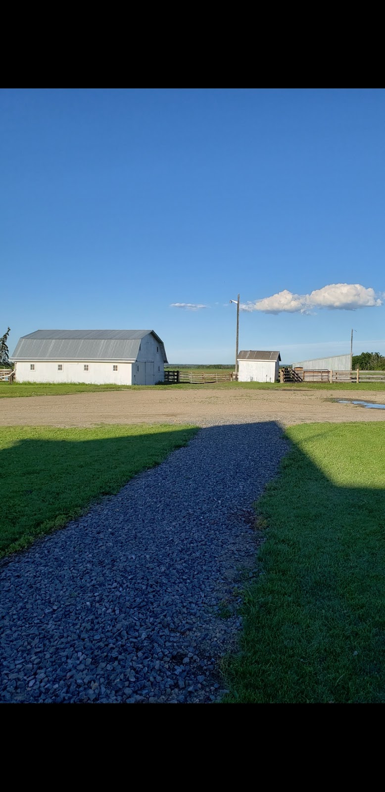 Positive Equine Stables | 36303, Range Rd 24, Red Deer County, AB T4G 0J9, Canada | Phone: (403) 848-4952