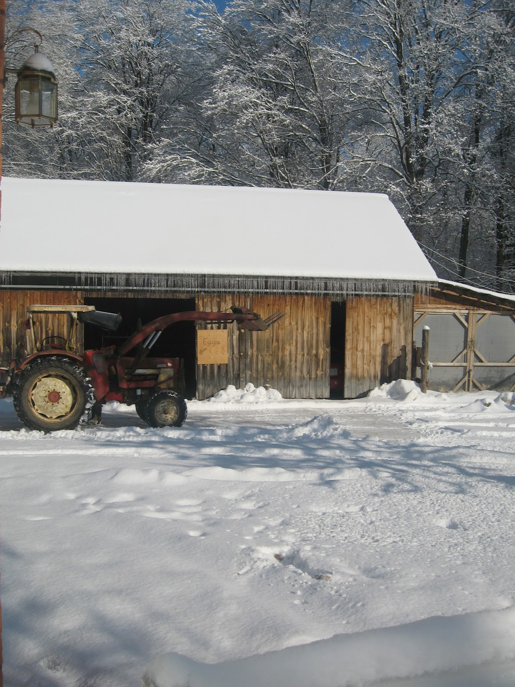 Diversity Farms | 2572 Vandorf Sideroad, Whitchurch-Stouffville, ON L4A 2J8, Canada | Phone: (905) 751-1323