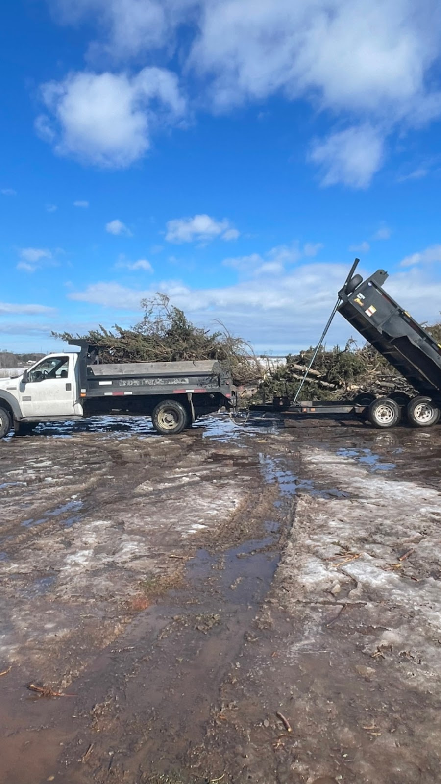 Turner Tractor Services | 14 Brookdale Dr, Charlottetown, PE C1E 1V3, Canada | Phone: (902) 394-3244