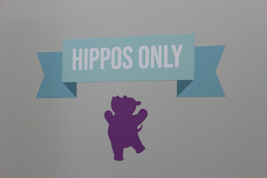 The Happy Hippo Co. | 22 Kent St, Woodstock, ON N4S 8L5, Canada | Phone: (519) 290-0440