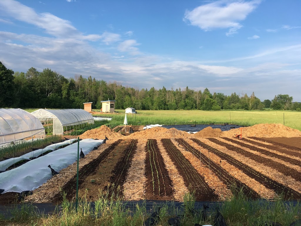 Natures Apprentice Farm | 112 Lynx Hollow Rd, Pakenham, ON K0A 2X0, Canada | Phone: (613) 255-5509