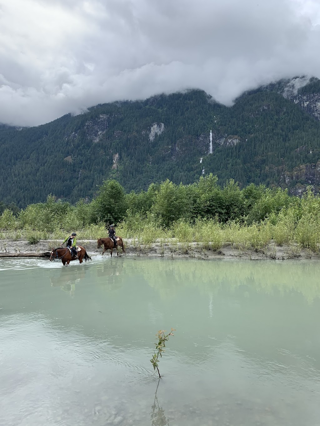 Squamish River Horse Adventures - SRHA | 15986 Squamish Valley Rd, Brackendale, BC V0N 1H0, Canada | Phone: (604) 905-8565