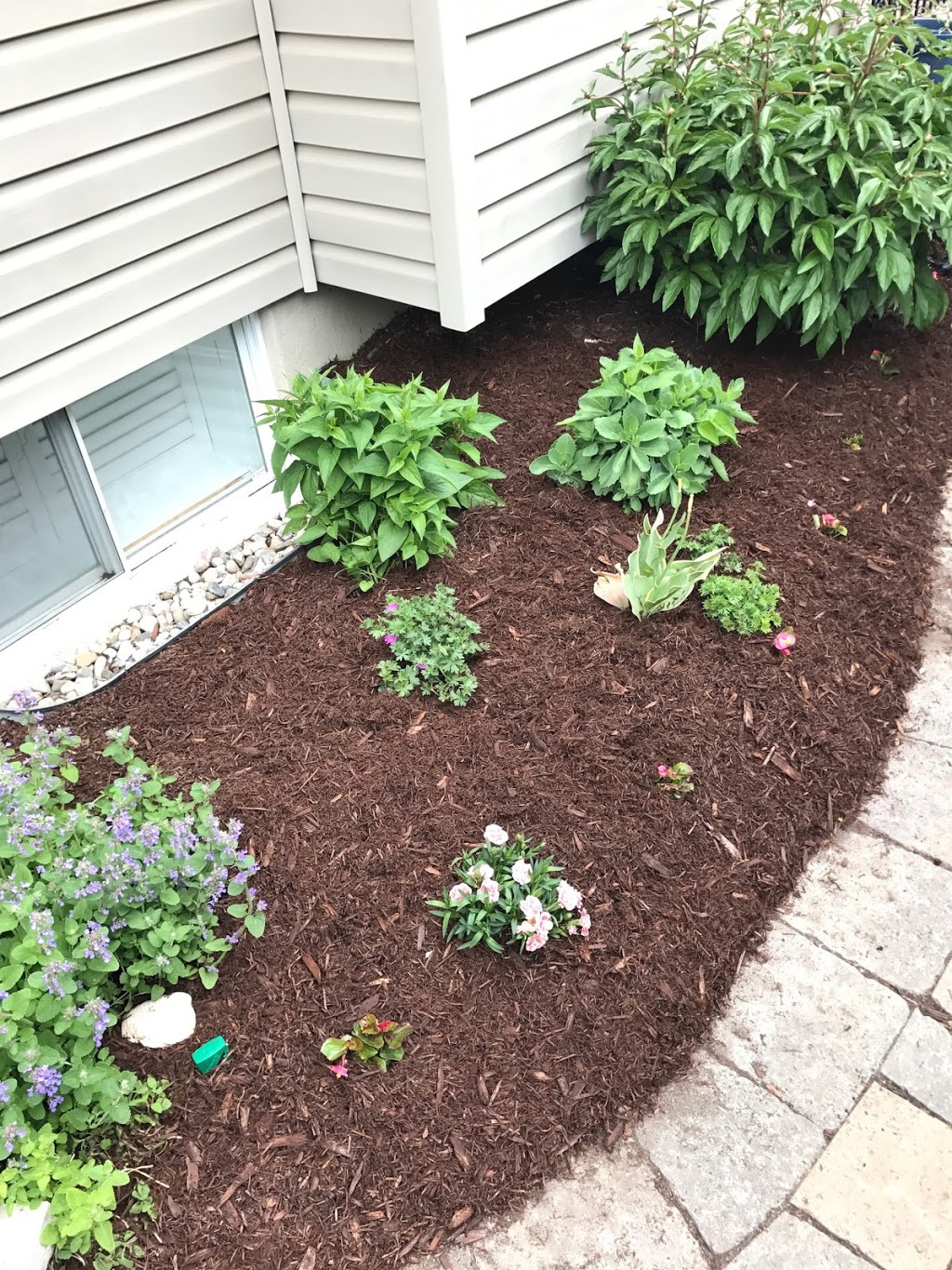 Presidential Properties | Sod & Landscaping in Ottawa | 221 Magpie St, Ottawa, ON K1T 0N4, Canada | Phone: (888) 232-1215