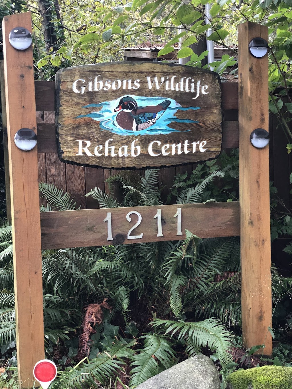 Gibsons Wildlife Rehab Centre | 1211 Carmen Rd, Gibsons, BC V0N 1V4, Canada | Phone: (604) 886-4989