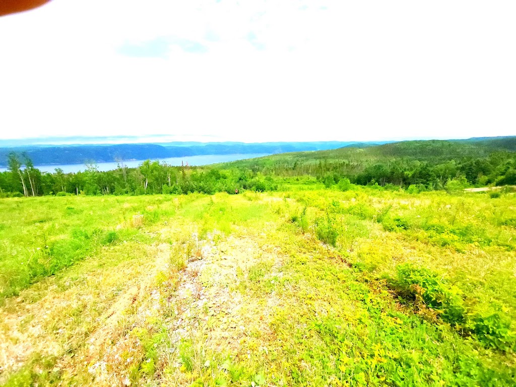 Les Paysans du Fjord | Micro-ferme écologique | 385 du, Vieux-Chemin, Le Fjord-du-Saguenay, QC G0V 1M0, Canada | Phone: (581) 398-1944