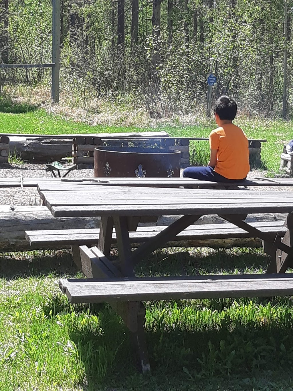 Camp Winchell Coulee | Mountain View County, AB T0L, Canada