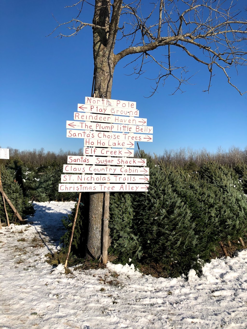 Ians Christmas Adventure Park | 804 Richmond Rd, Beckwith, ON K0A 1B0, Canada | Phone: (613) 253-0086